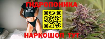 прущие крисы Бузулук