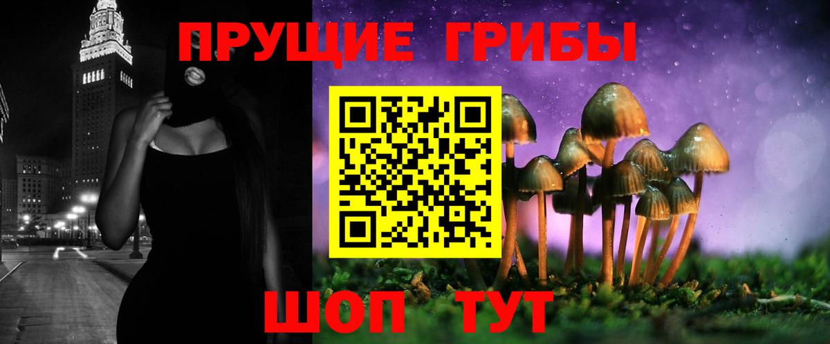 Псилоцибиновые грибы прущие грибы  Березники 